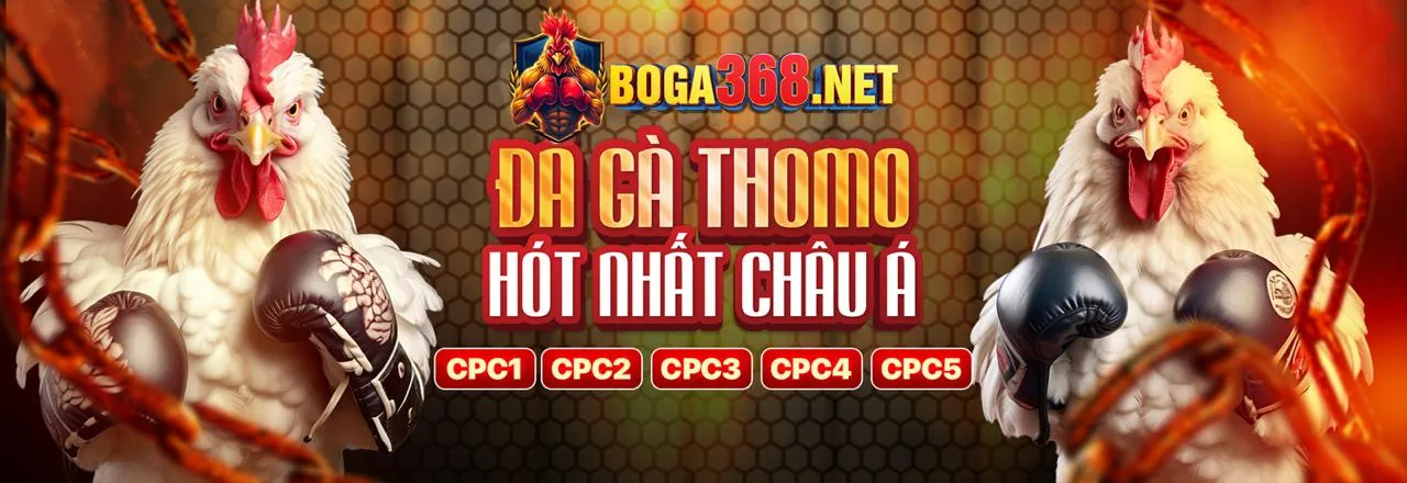 Đá Gà Trực Tuyến hy88 uy tín